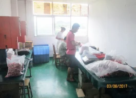 Factory interior view